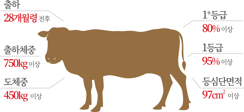 ÃâÇÏ 28°³¿ù·É ÀüÈÄ, ÃâÇÏüÁß 750kg ÀÌ»ó, µµÃ¼Áß 450kg dltkd, 1+µî±Þ 80% ÀÌ»ó, 1µî±Þ 95% ÀÌ»ó, µî½É´Ü¸éÀû 97§² ÀÌ»ó